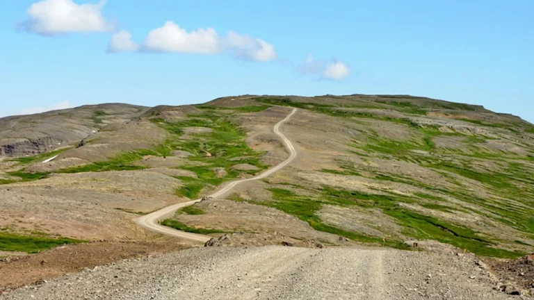 Ein neuer Anfang voller Begegnung, Wachstum und Möglichkeiten - AfgON